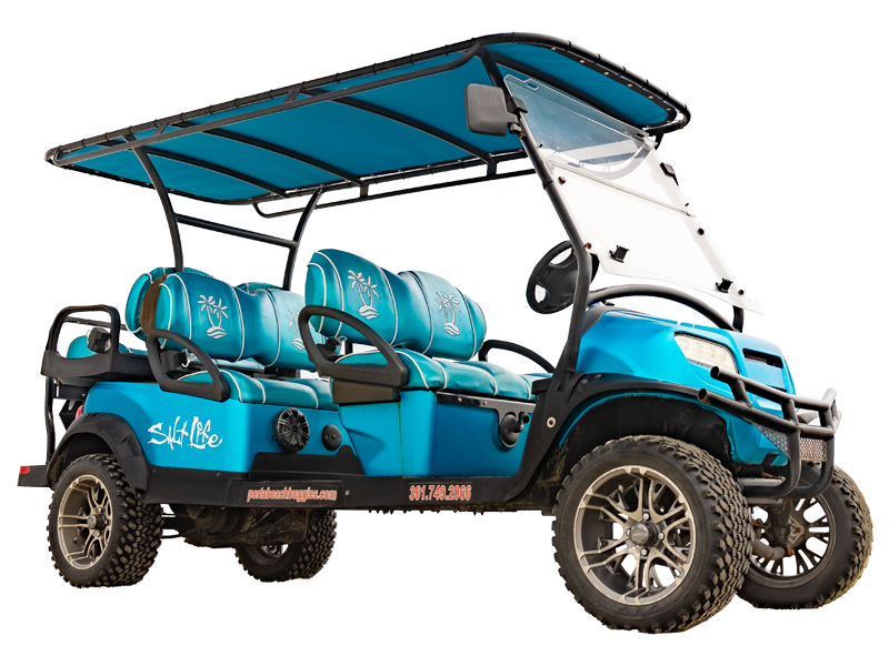 blue 6 seat buggy