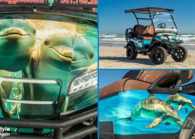 cart with dolphin photos on hood and sides