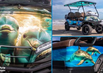 Cart with dolphin images